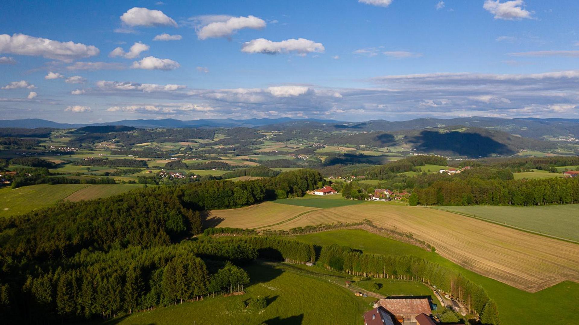 Ferienwohnung „Rose“ Wiesenfelden 外观 照片